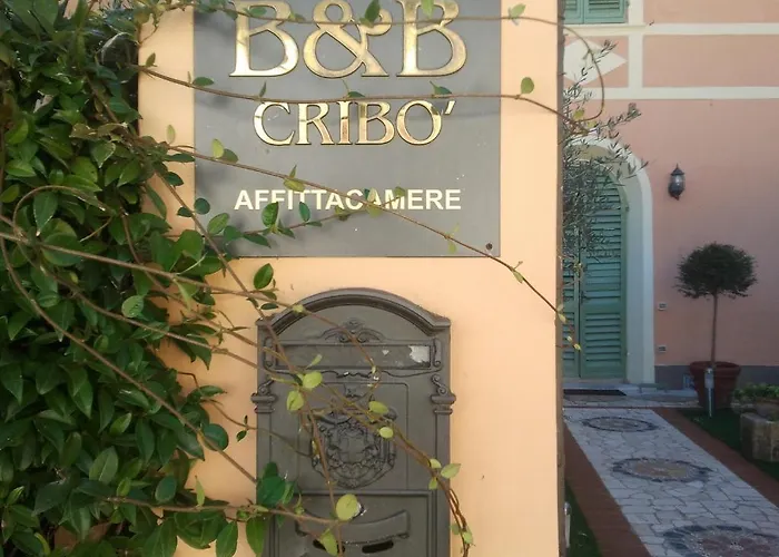B&B Cribo