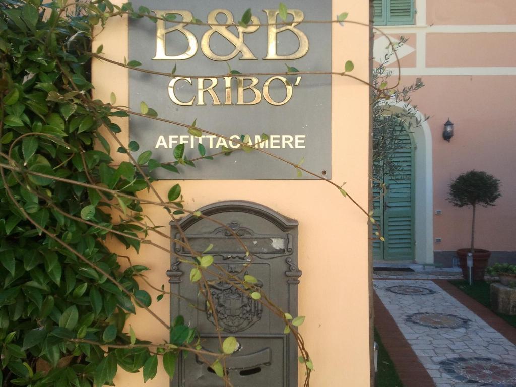 Cribo